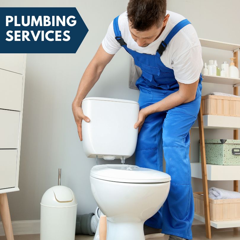 Plumbing Company in Thompsonville, IL